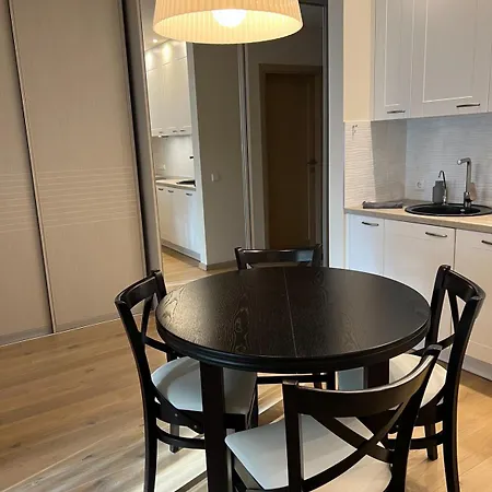 Apartment Deluxe Maironio Namai Palangos Centre!