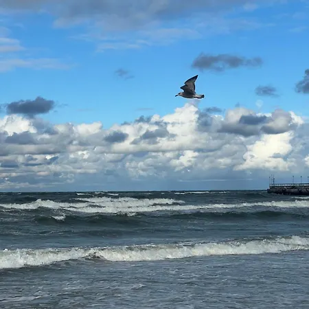 Deluxe Maironio Namai Palangos Centre!