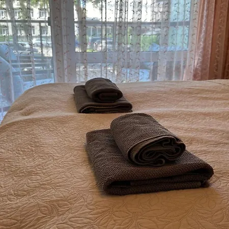 Deluxe Maironio Namai Palangos Centre! * Palanga