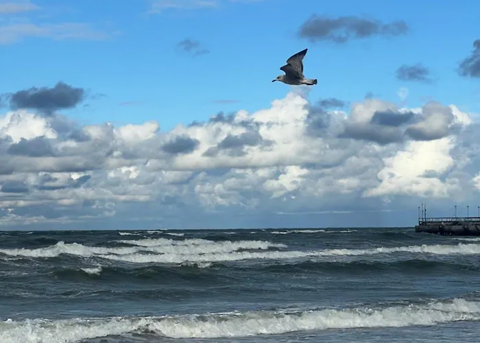 Deluxe Maironio Namai Palangos Centre!